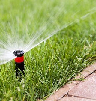 Sprinkler Installation Systems — Newly Installed Lawn Sprinkler in Livonia, MI