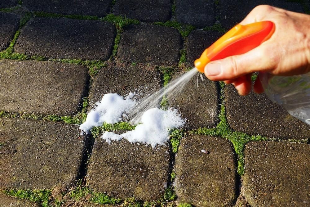 a person is spraying salt on a brick walkway .