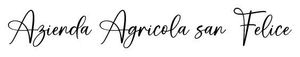 AZIENDA AGRICOLA SAN FELICE logo