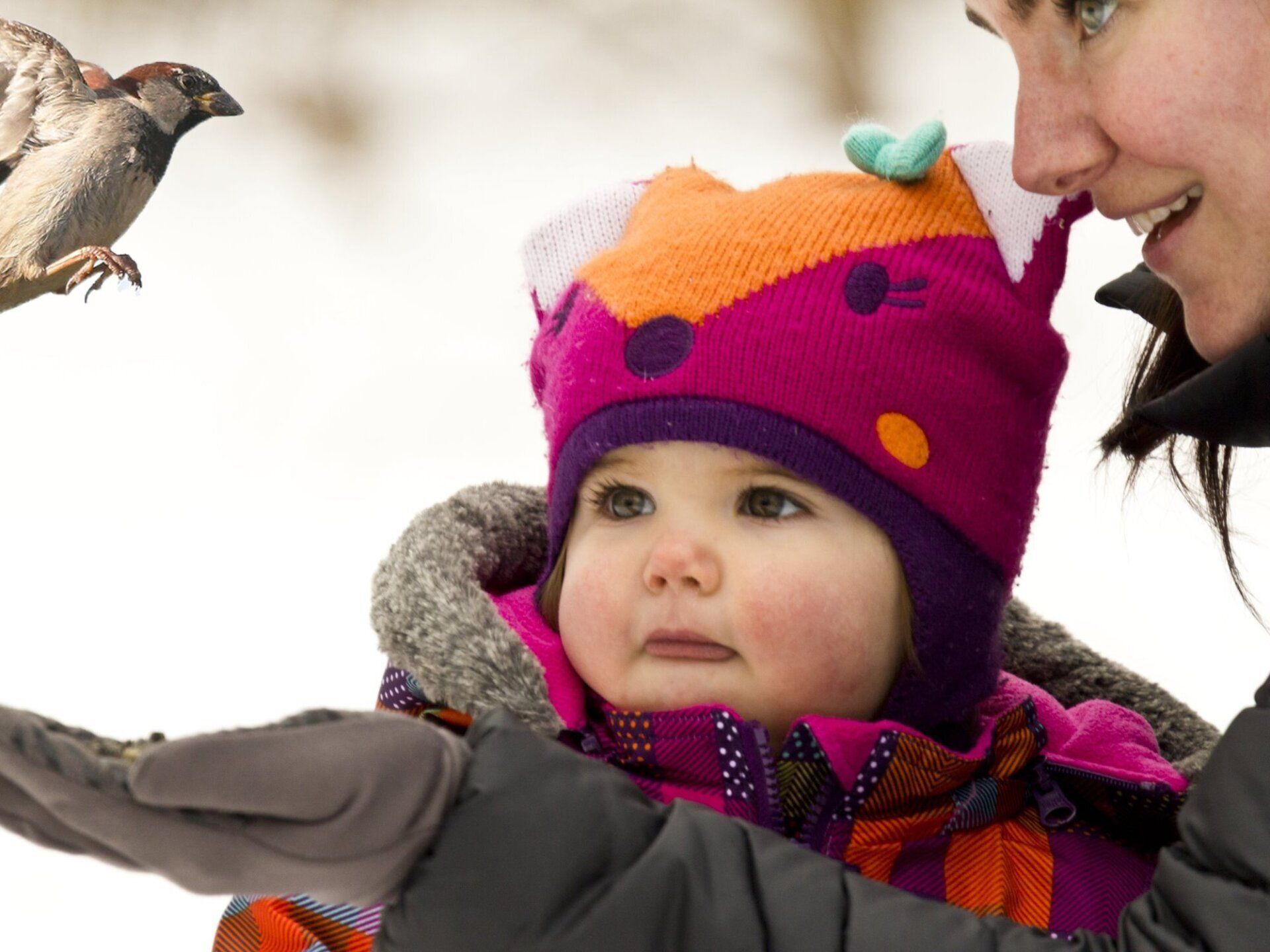 Une femme nourrit un bébé un oiseau dans la neige