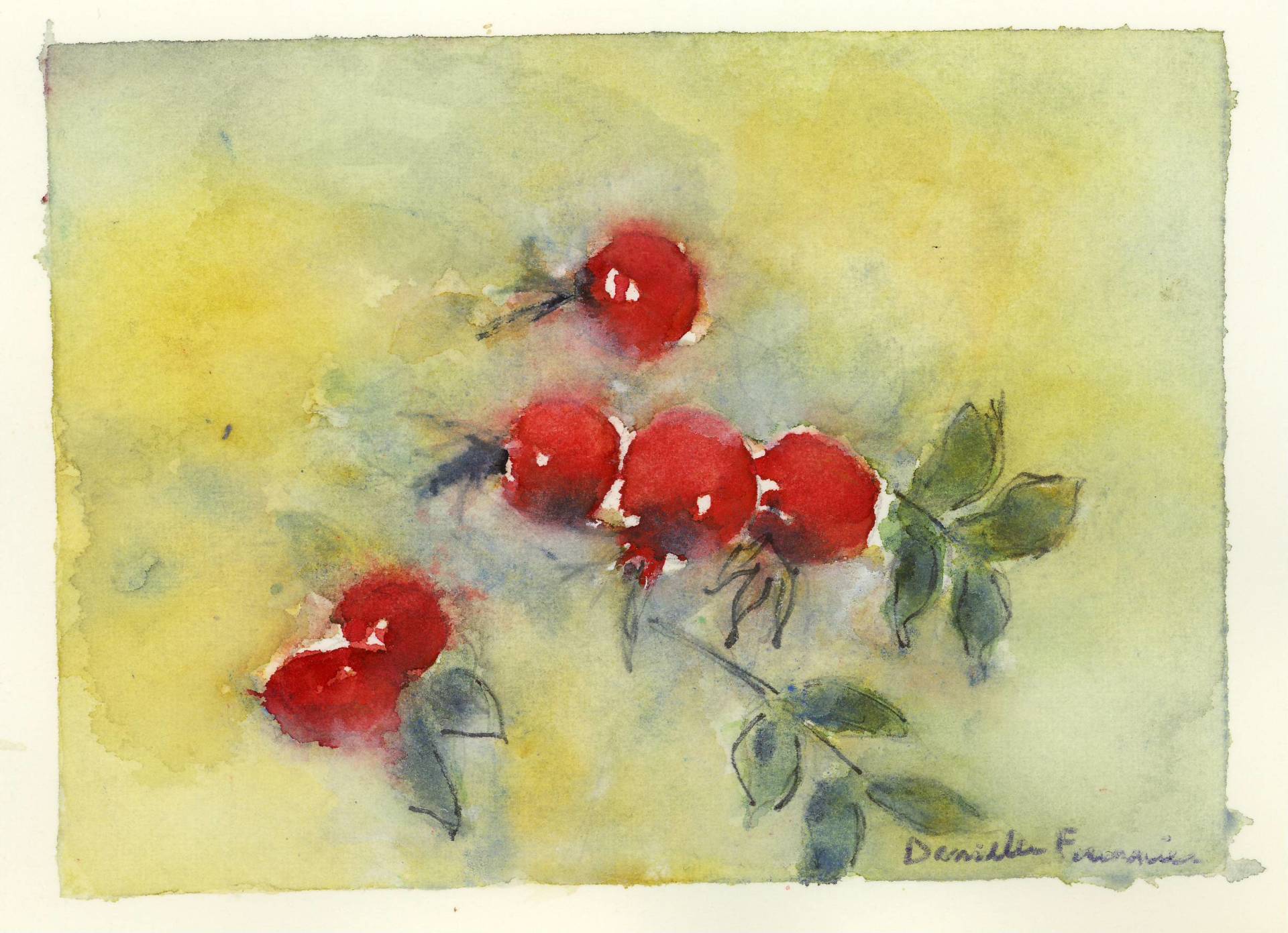 Une aquarelle représentant un bouquet de fruits rouges