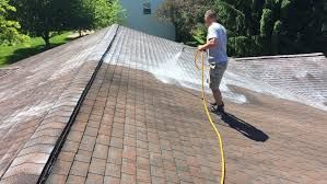 A man is cleaning a roof with a hose.