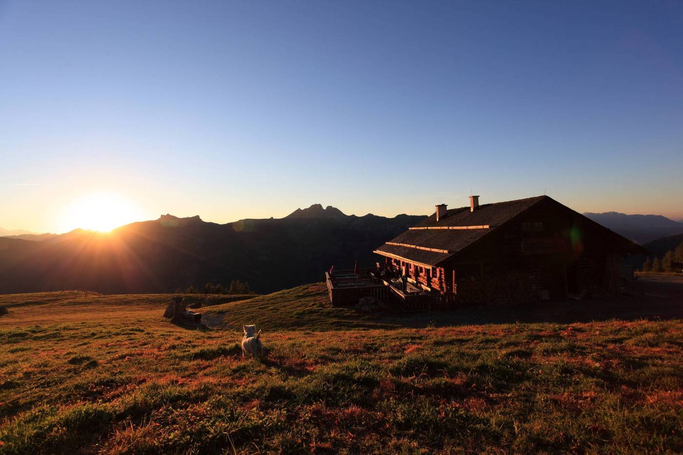 Sommer auf der Saukaralm