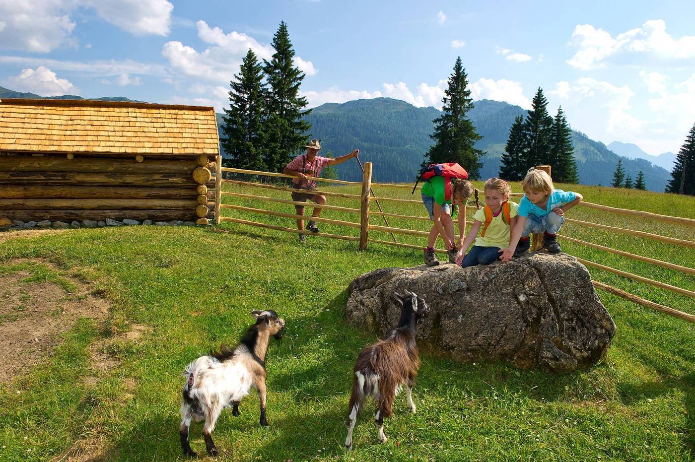 Auf der alm