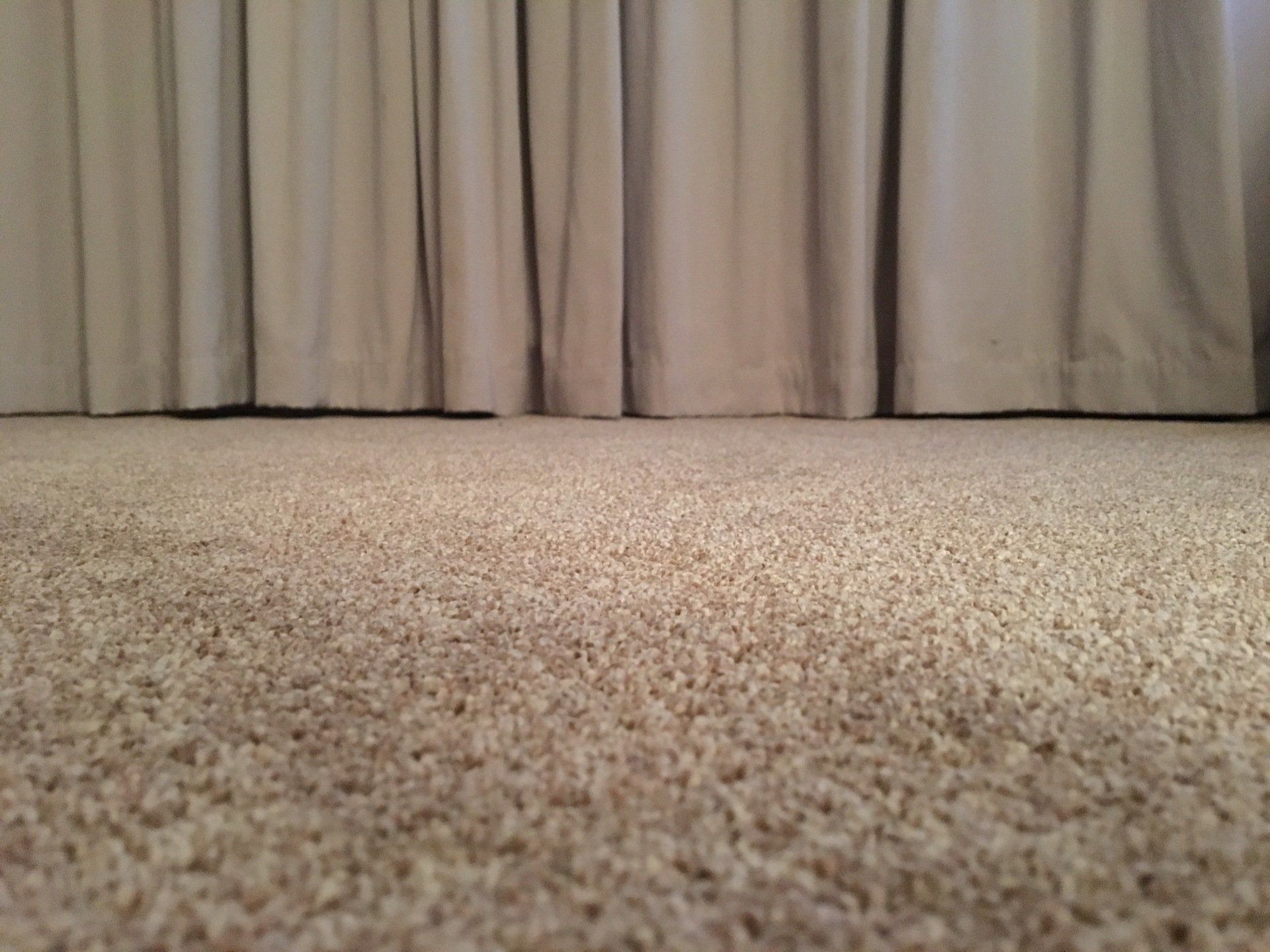 beige coloured carpet