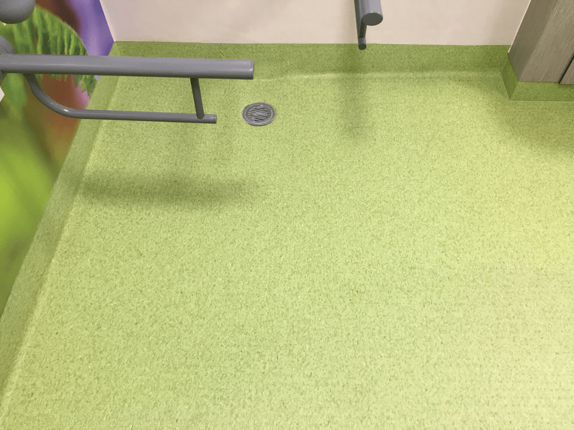green vinyl flooring in a accessible toilet