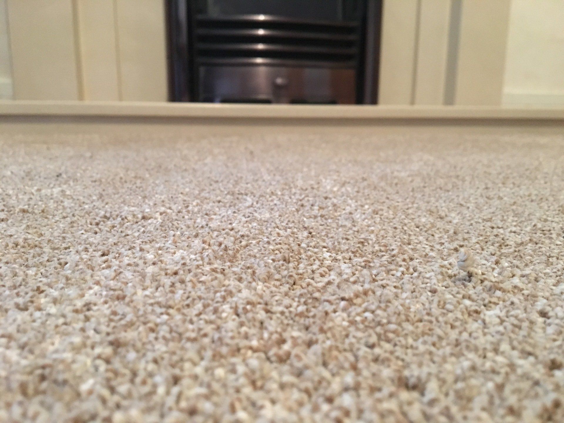 carpet in front of a fireplace