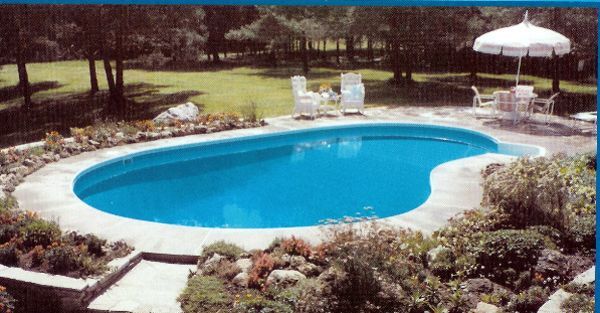 Homestead Family Pools inground kidney shape