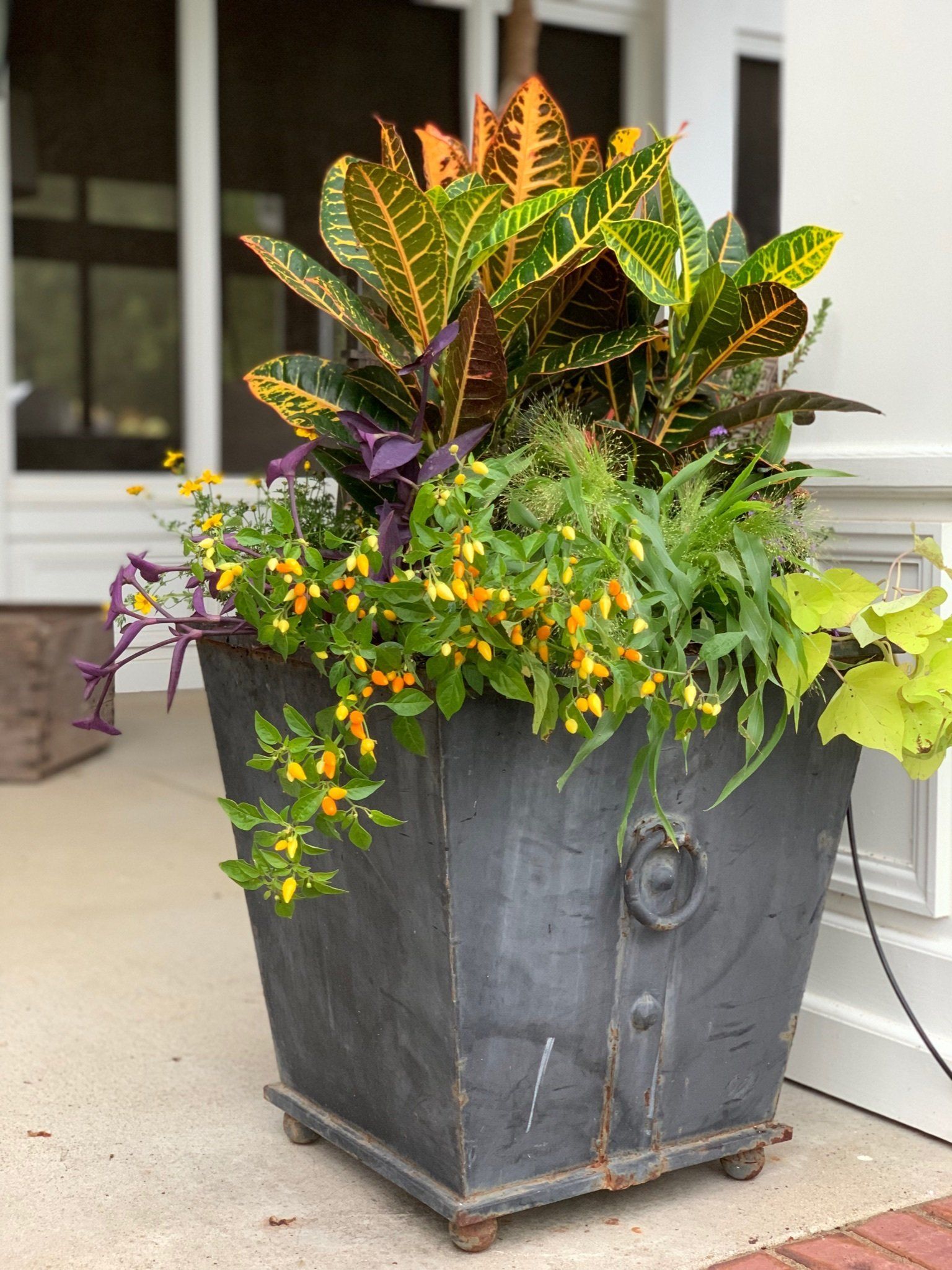 fall-yellow-pepper-arrangement-franklin-tn