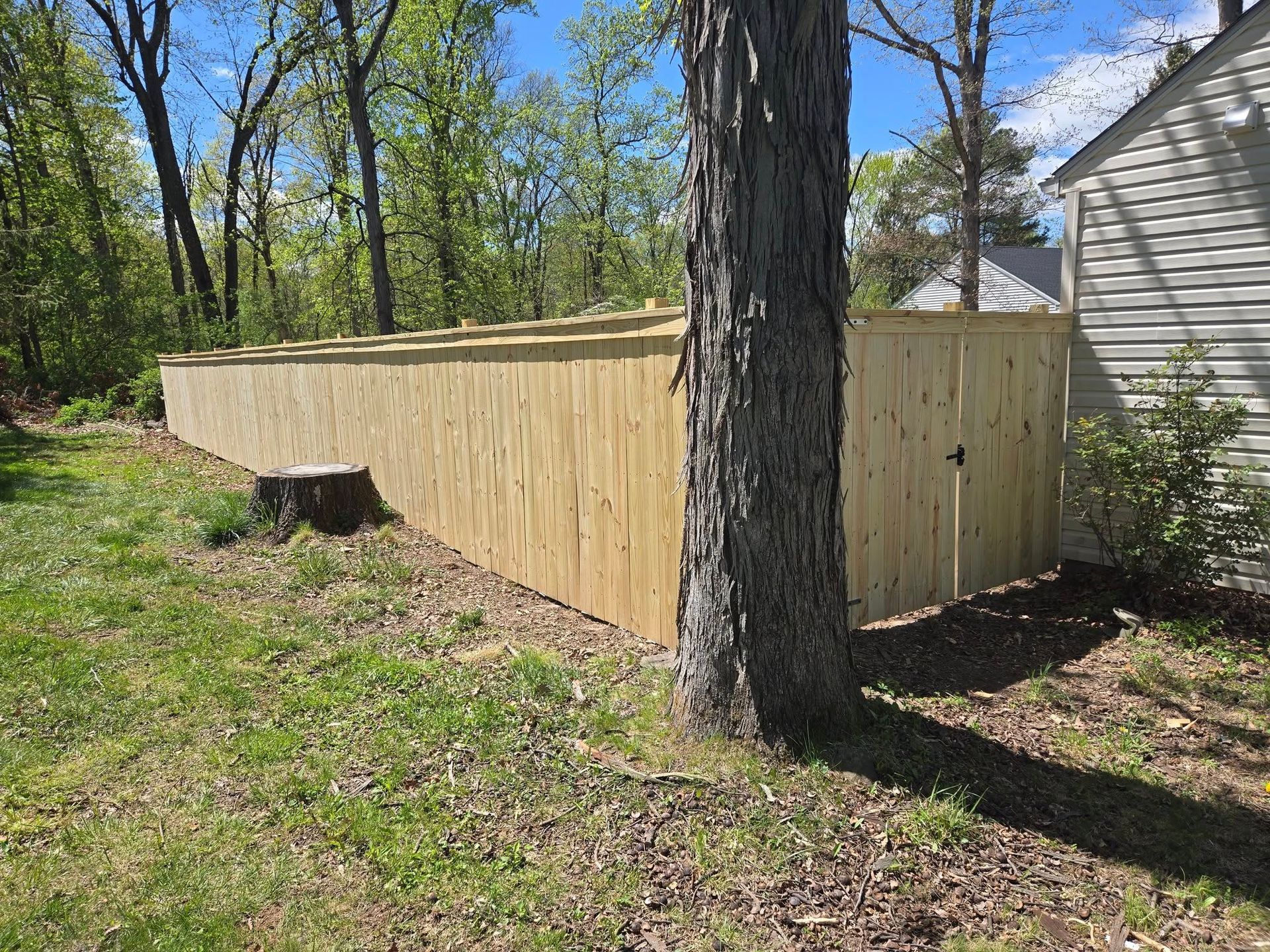 A wooden fence is surrounded by trees in a backyard next to a house.