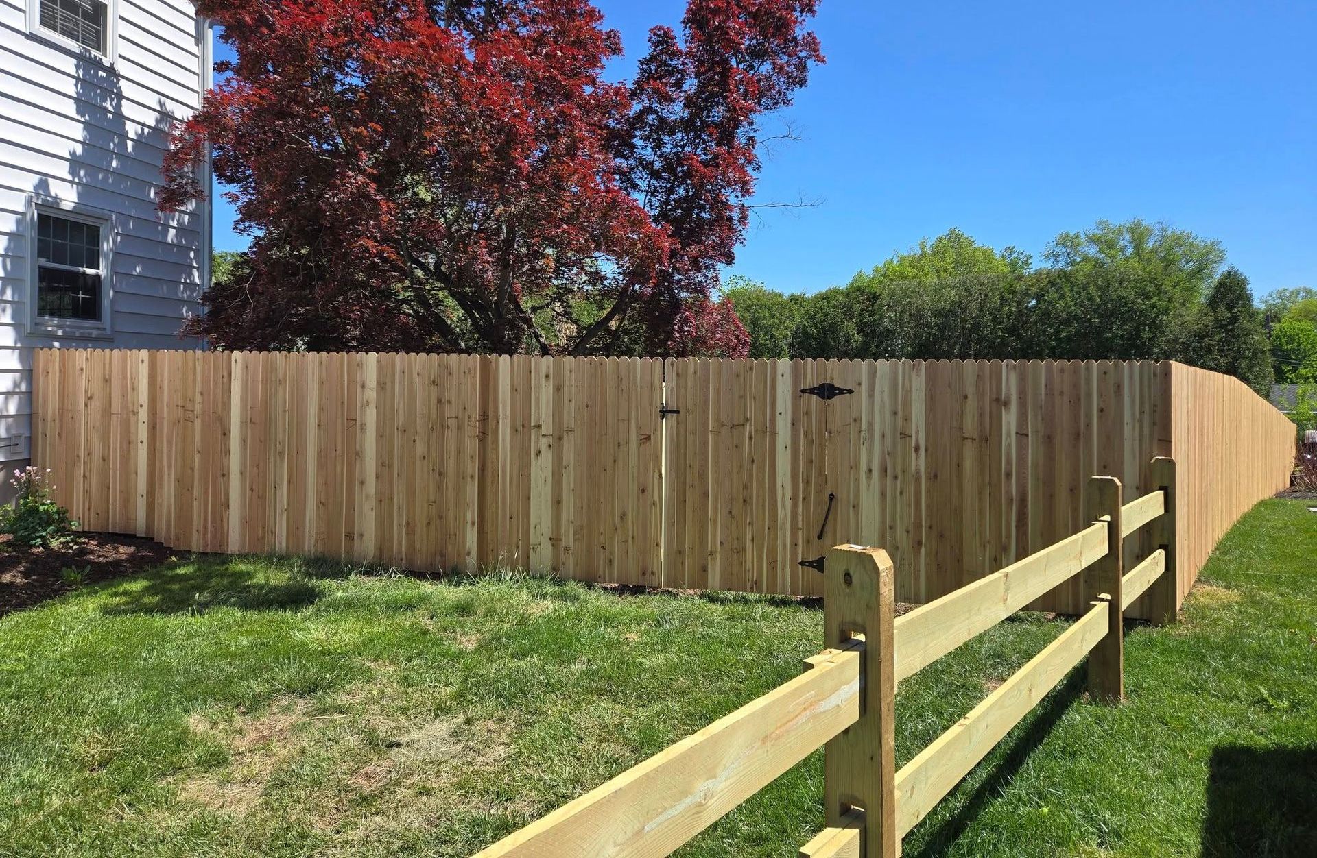 A light-colored wooden privacy fence meets a split-rail fence in a backyard, with a red-leaf tree and house in the background.
