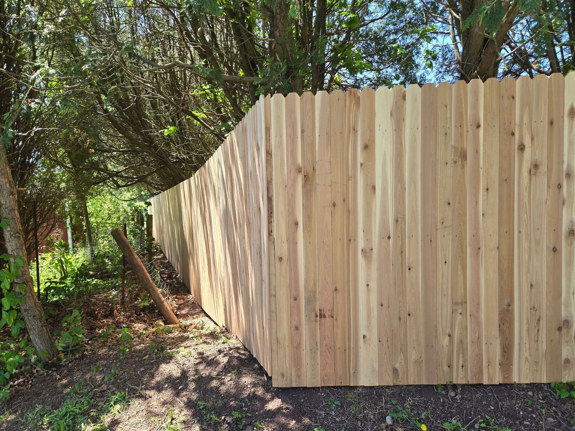 A wooden fence is surrounded by trees in a yard.