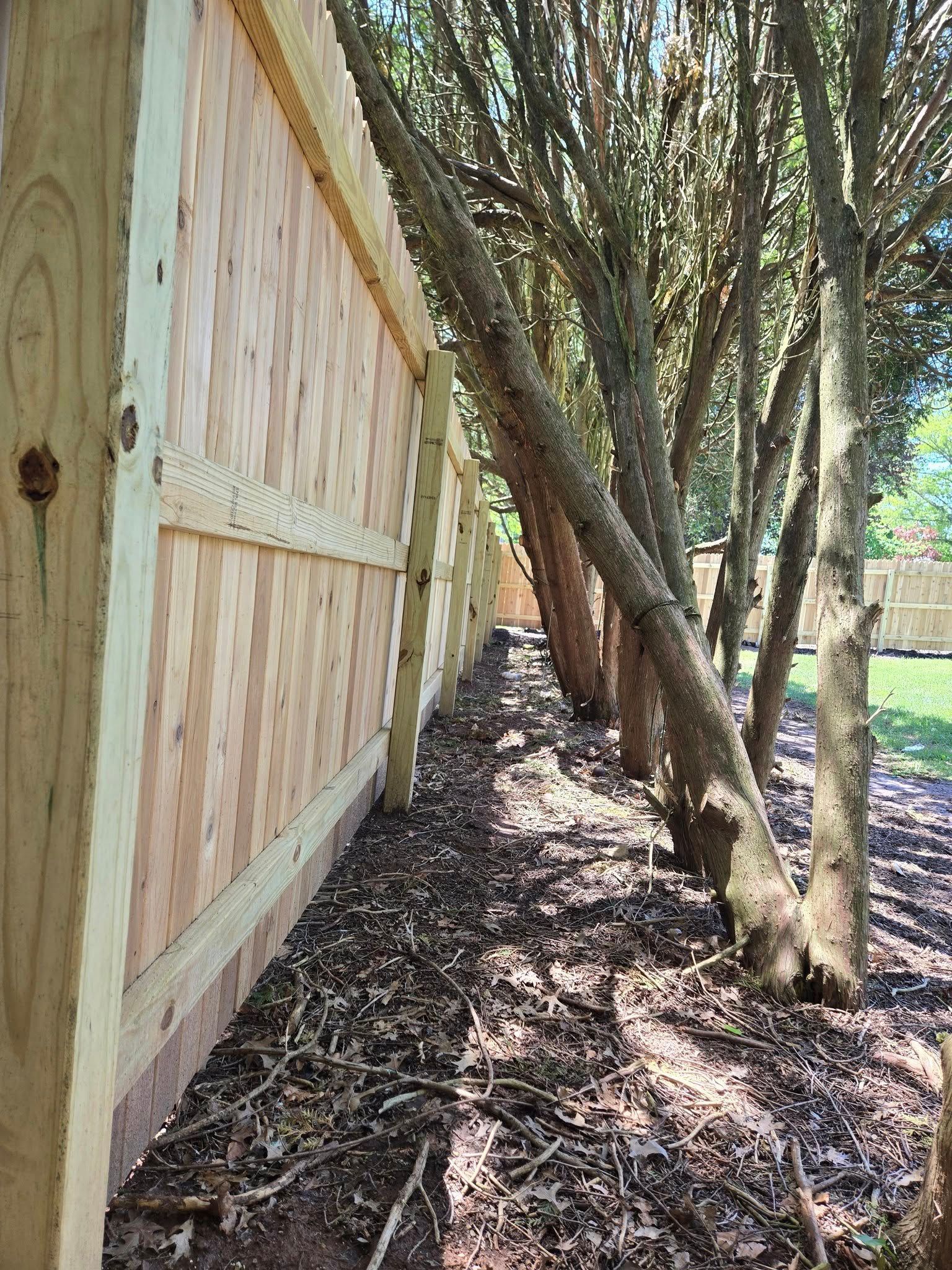 A wooden fence is surrounded by trees in a yard.