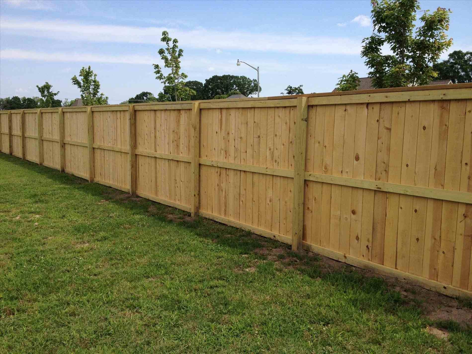 Wooden privacy fence in a grassy yard under a blue sky.
