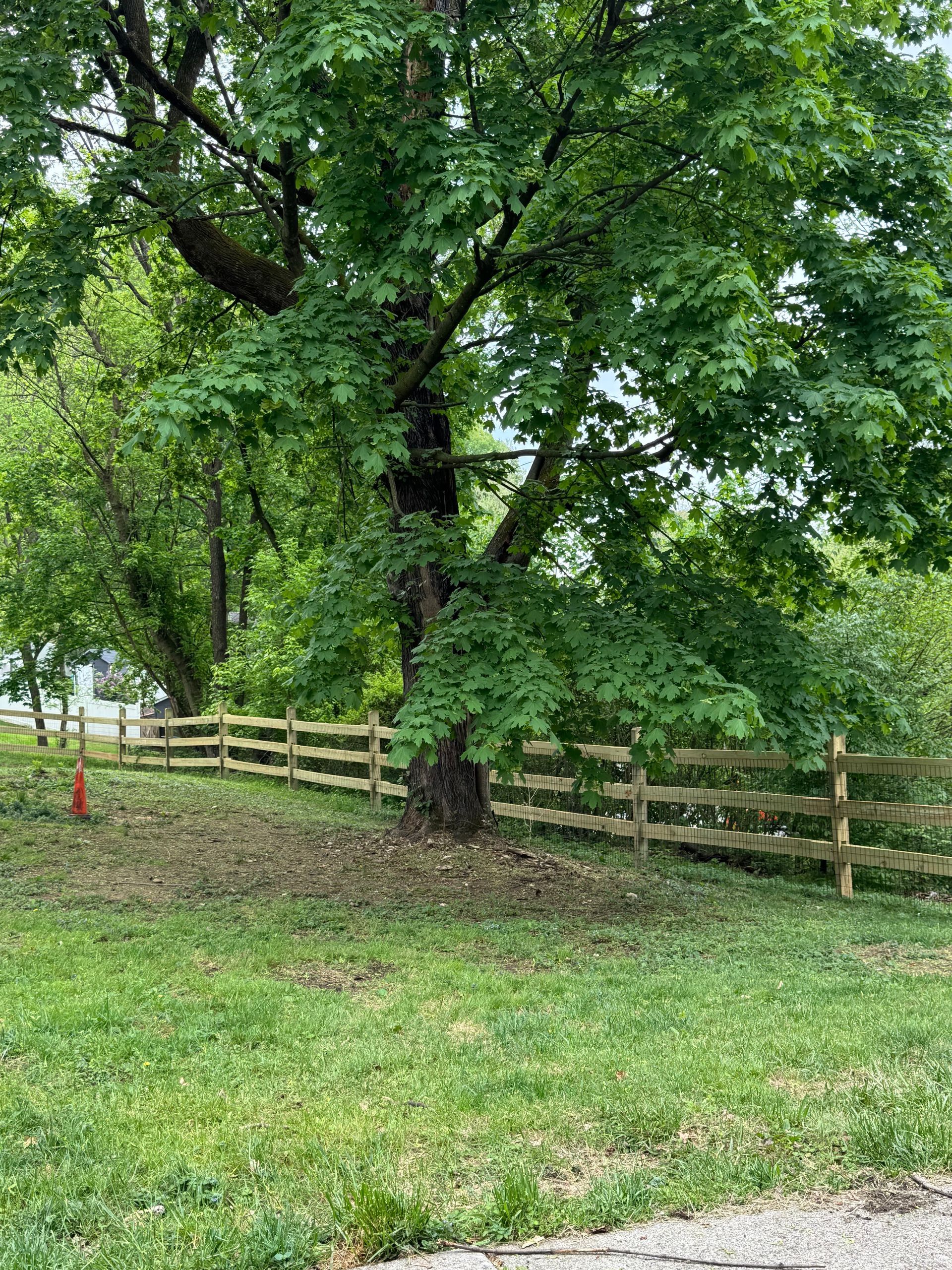 A wooden fence surrounds a grassy field with trees in the background.