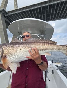 A man is holding a large fish on a boat in front of a bridge.