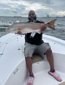 A man is sitting on a boat holding a large fish.