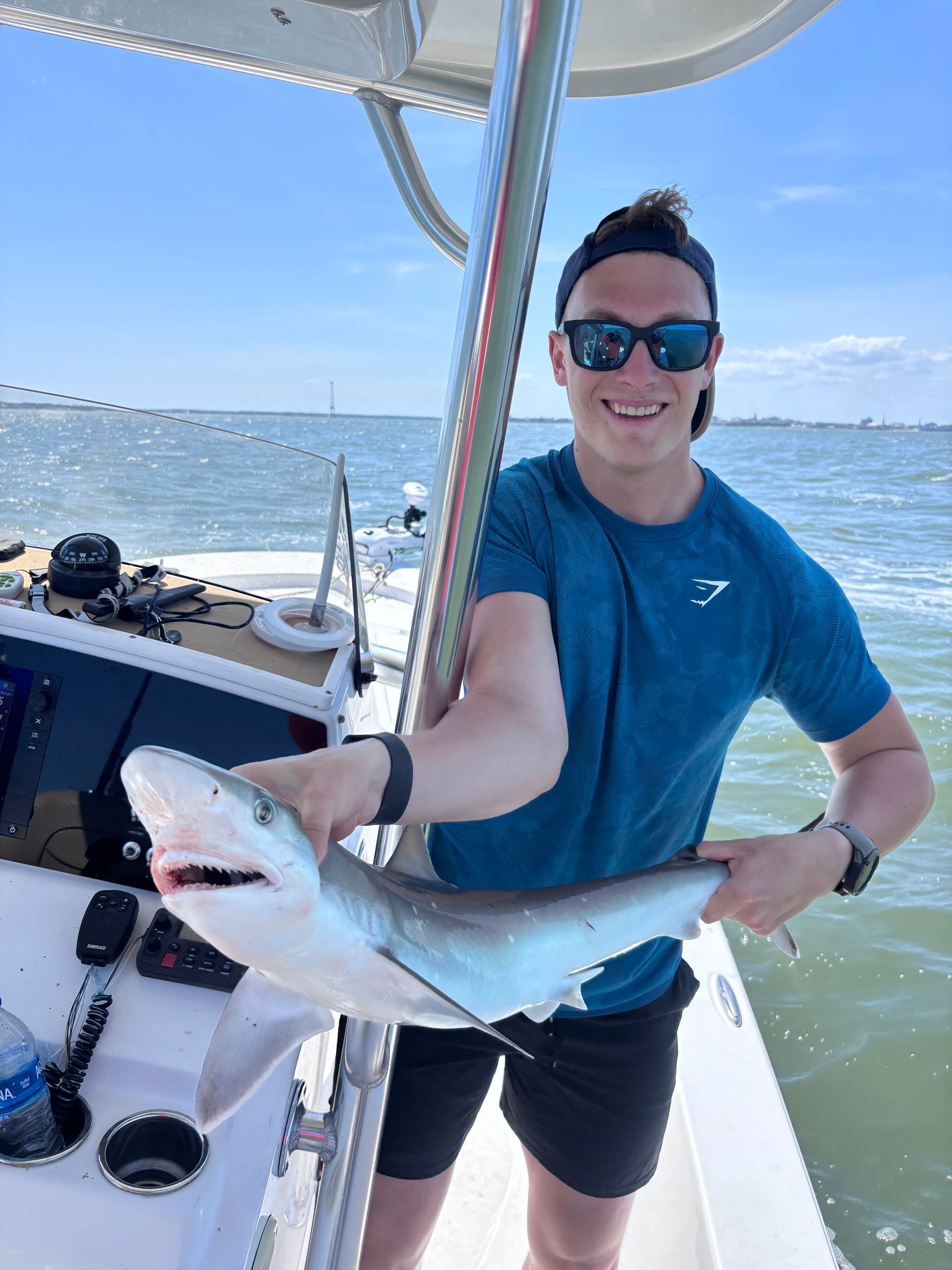 A man is holding a shark on a boat.