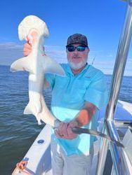 A man is holding a small shark on a boat.