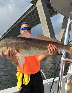 A man is holding a large fish on a boat under a bridge.