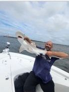 A man is sitting on a boat holding a shark.