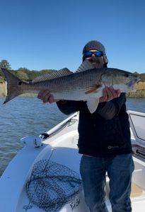 A man is standing on a boat holding a large fish.