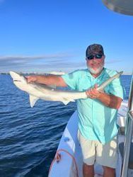 A man is holding a shark on a boat in the ocean.