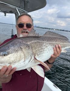 A man is holding a large fish on a boat.