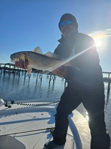 A man is standing on a boat holding a large fish.