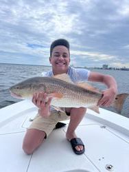 A young man is kneeling on a boat holding a large redfish.