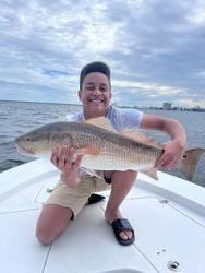 A young boy is kneeling on a boat holding a large redfish.