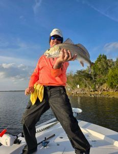 A man is standing on a boat holding a fish in his hands.