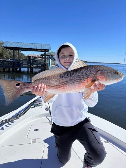 A young boy is kneeling on a boat holding a large red fish.