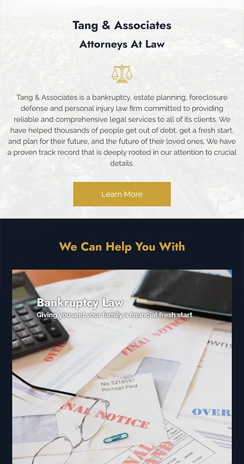 Other Law Practice Website Preview