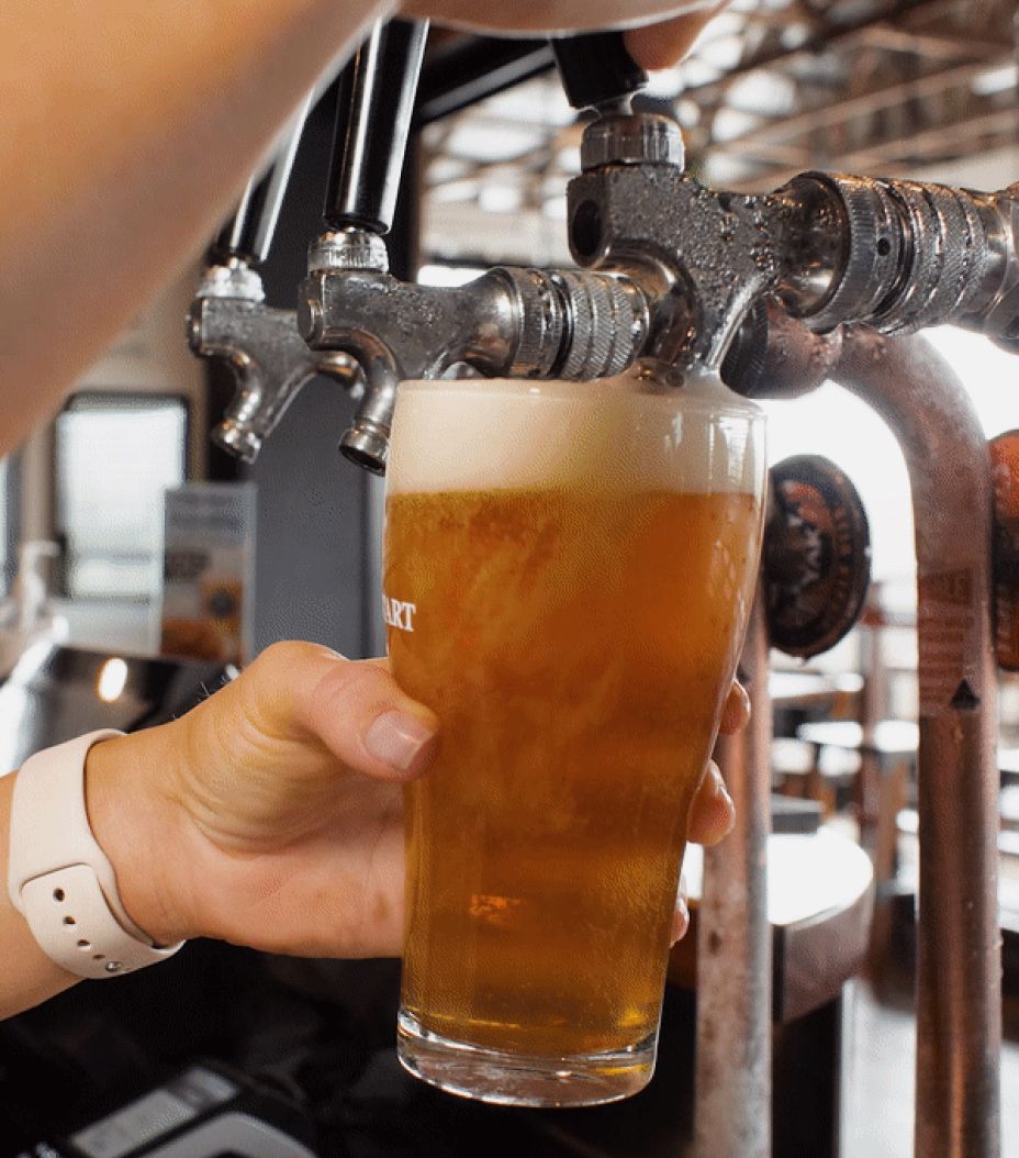 Fresh beer on tap at Stock Hotel Toowoomba