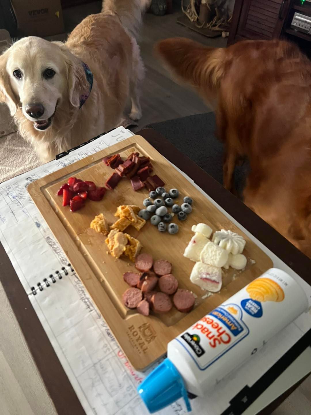 Two golden retrievers eagerly eye a charcuterie board with snacks; cheese whiz is nearby.