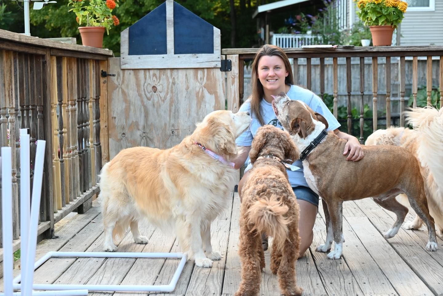 Woman kneels with four dogs on a wooden deck; smiles, dogs look up, outdoor setting.