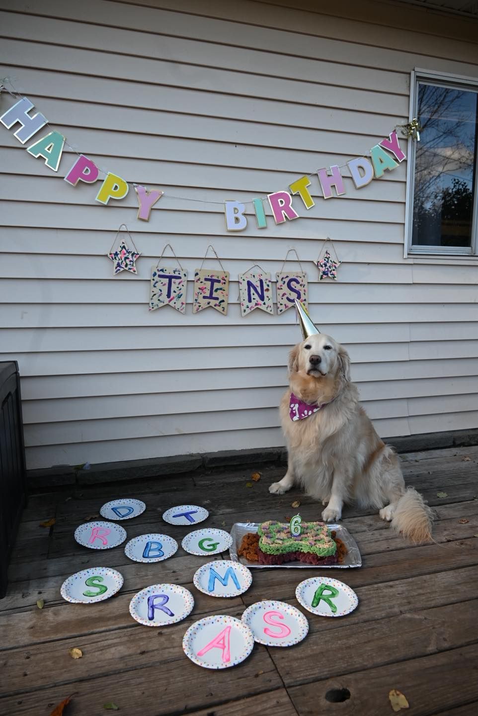 Golden retriever wearing a party hat, celebrating its tenth birthday on a deck, with decorations and a cake.