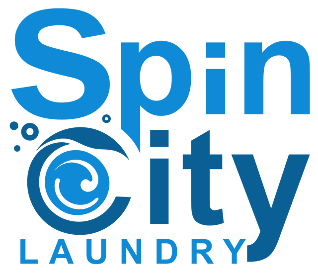 Logo Spin City