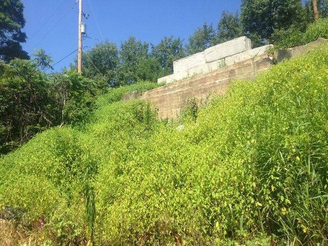 Bridge Foundation With Plants — Cranesville, PA — Brandon C. Kennedy Construction & Excavating