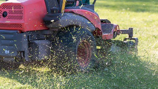 Lawn Aeration - Lawn Care in Parker, CO