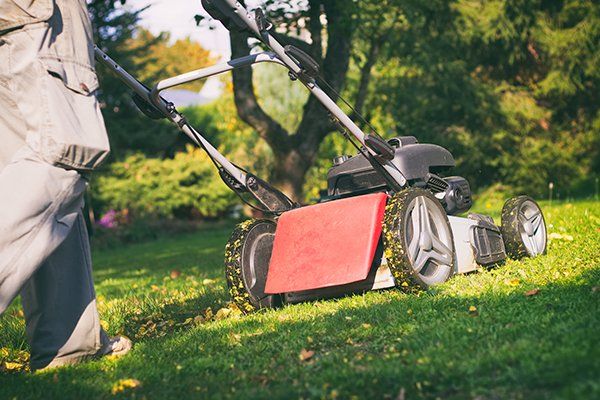 Lawn Treatment - Mowing The Grass With A Lawn Mower in Parker, CO