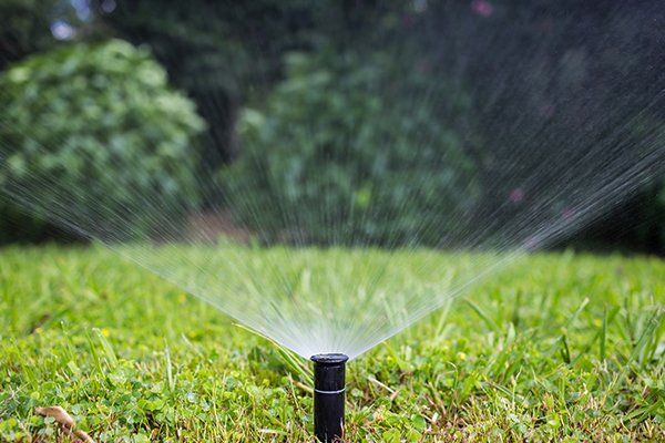 Sprinkler Repairs - Sprinkler Watering The Lawn in Parker, CO