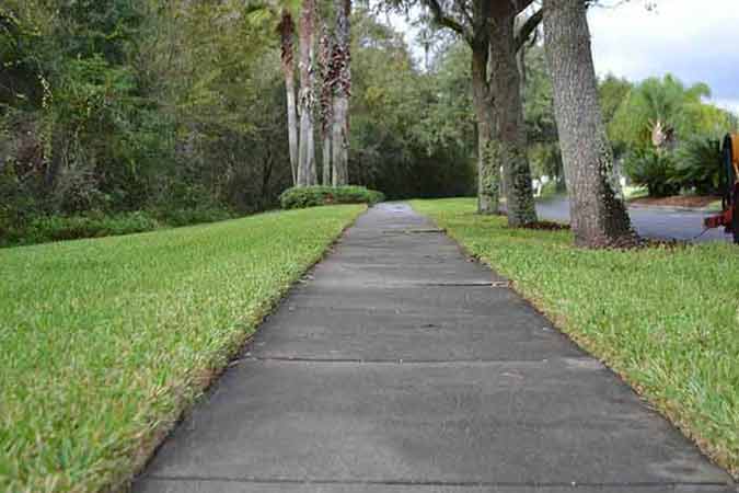 Before Cleaning the Pathway — Pressure Washing in Tampa Bay, FL