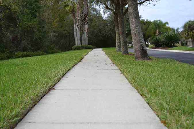 After Cleaning the Pathway — Pressure Washing in Tampa Bay, FL