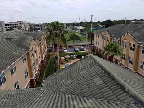 Clean rooftop - in Seffner, FL
