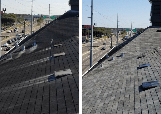 Tile Roof — Pressure Washing in Tampa Bay, FL