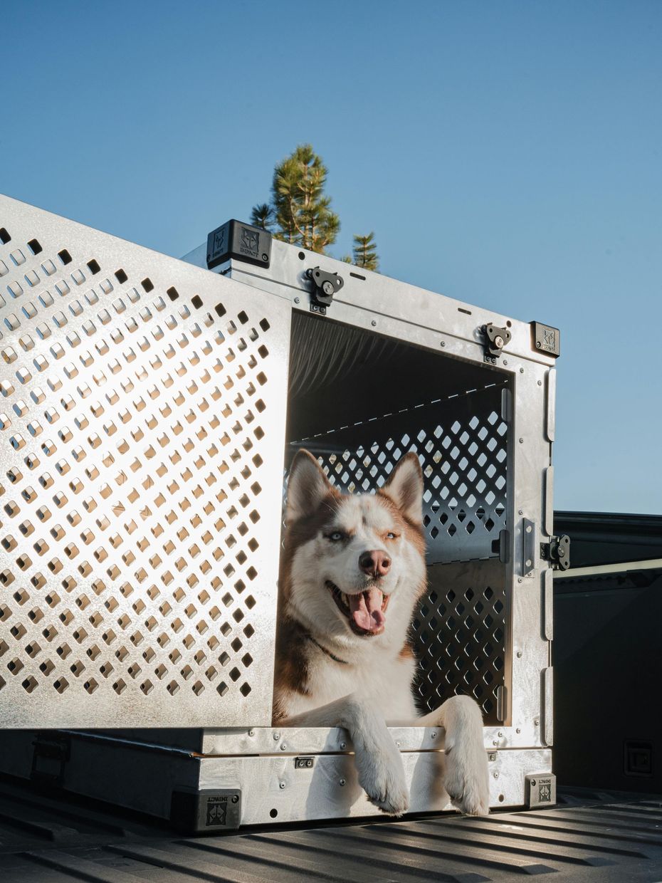 A happy husky sits inside a metal, perforated dog crate placed on the flatbed of a vehicle under a clear blue sky.