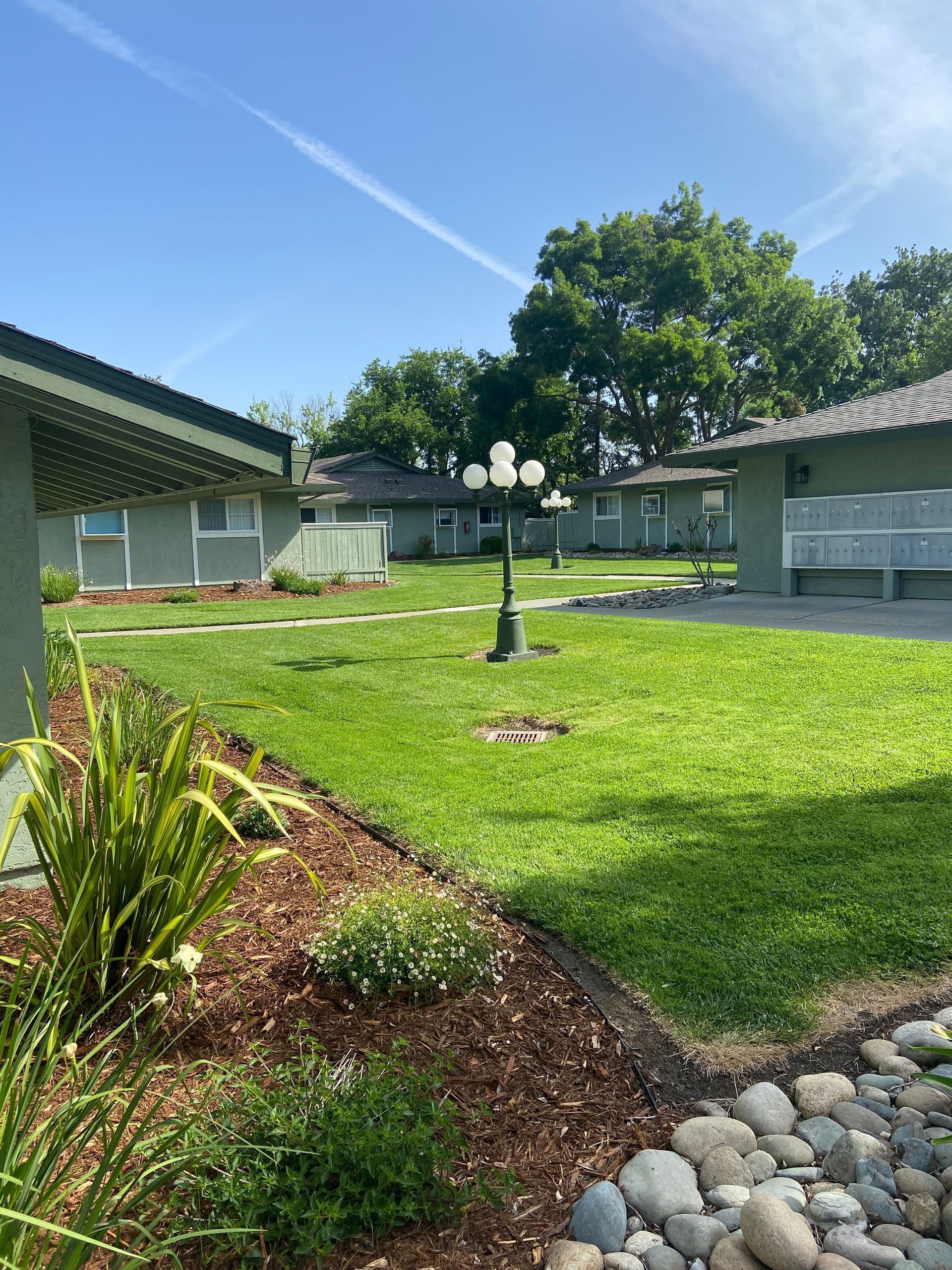 A lush green lawn with a lamp post in the middle of it.