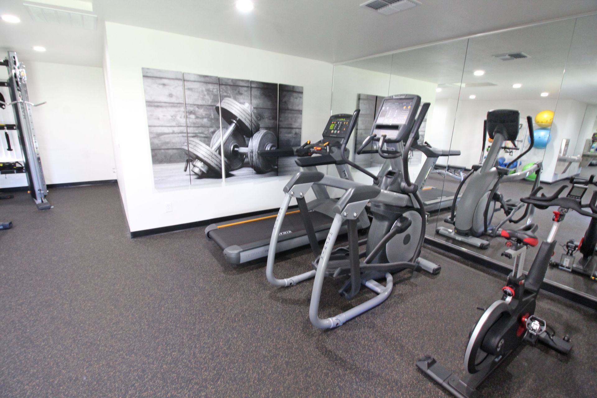 There are many different types of exercise equipment in this gym.